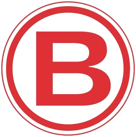 Boluda